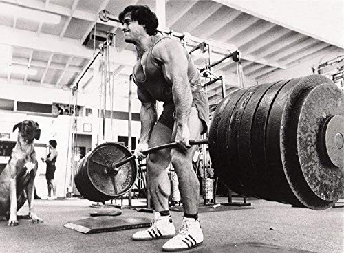 157685 GYM Franco Columbu Body Building Muscle Exerci Decor Wall 16x12 Poster Print