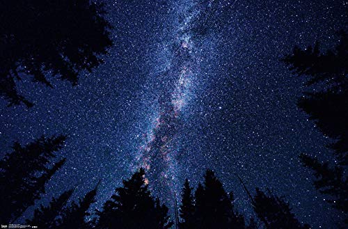 Trends International Milky Way At Night Wall Poster, 22.375" x 34", Unframed Version