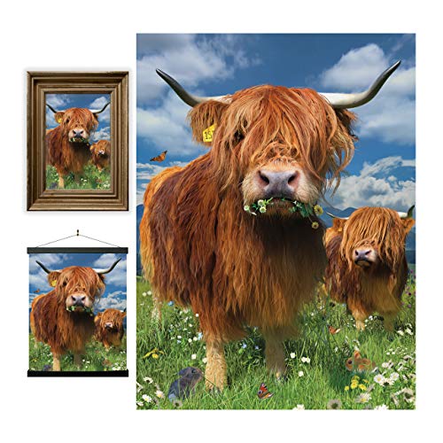 3D LiveLife Lenticular Wall Art Prints - Highland Cattle from Deluxebase. Unframed 3D Cow Poster. Perfect wall decor. Original artwork licensed from renowned artist, David Penfound