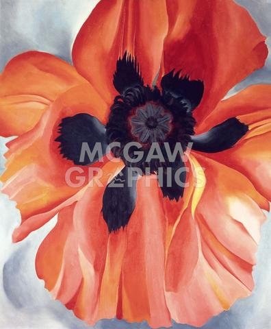 McGaw Graphics Red Poppy, No. VI, 1928 by Georgia O'Keeffe, Wall Art Print Poster, Paper Size 11" x 14" Image Size 10" x 12"(453)