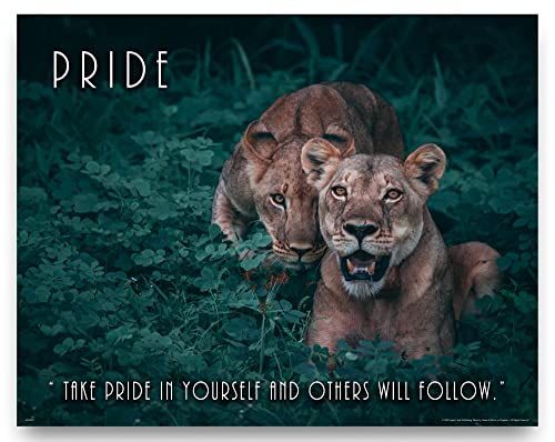 Apple Creek Lions Wildlife Motivational Poster Art Print 11x14 Pride Zoo Cat School Classroom Wall Decor Pictures