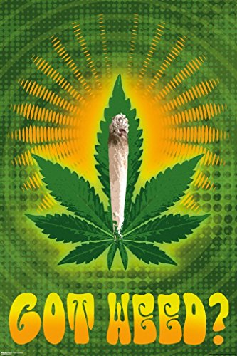 Pyramid America Got Weed Marijuana Leaf Joint Psychedelic Trippy Vintage 70s Weed Dope Mary Jane 420 Cool Wall Decor Art Print Poster 24x36