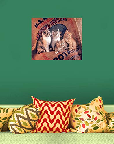 Funny Cat Wall Decor Gunnie Sack Cute Kittens Kids Room Animal Art Print Poster (16x20)
