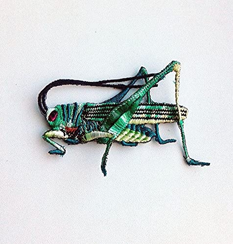 Moks109(p) 3D grasshopper insect bug Embroidered Patches Lace Applique