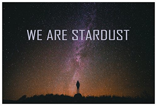 SJC We are Stardust Poster Wall Print|Inspirational Motivational Classroom Home Office Dorm|18 X 12 in|SJC105