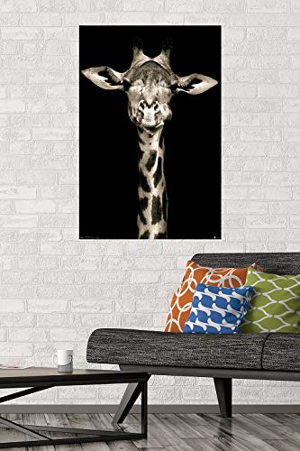 Trends International Portrait of a Giraffe Wall Poster, 22.375" x 34", Unframed Version