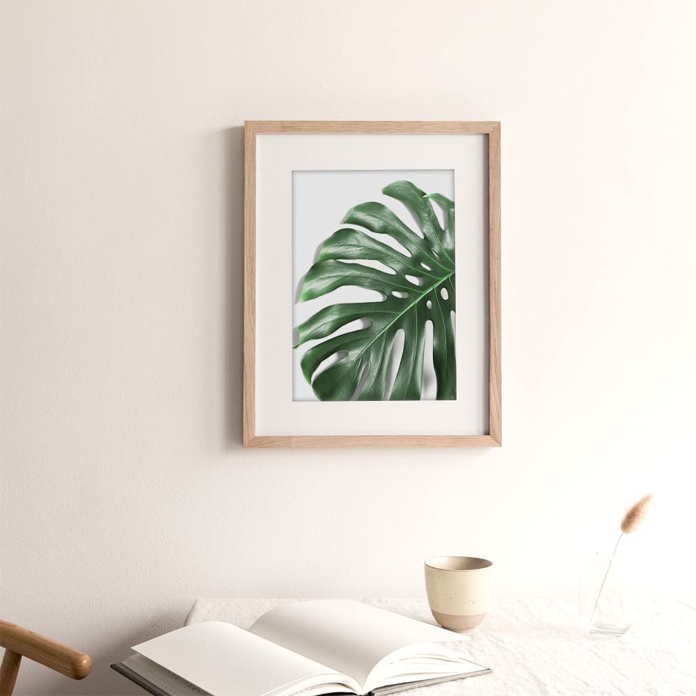 Canssape Set of 6 Botanical Wall Art Prints 8"x10" Turtleback bamboo Poster Prints Room Decor Aesthetic Wall Decor for Bedroom Botanical Posters for Living Room Wall Decor (Unframed)