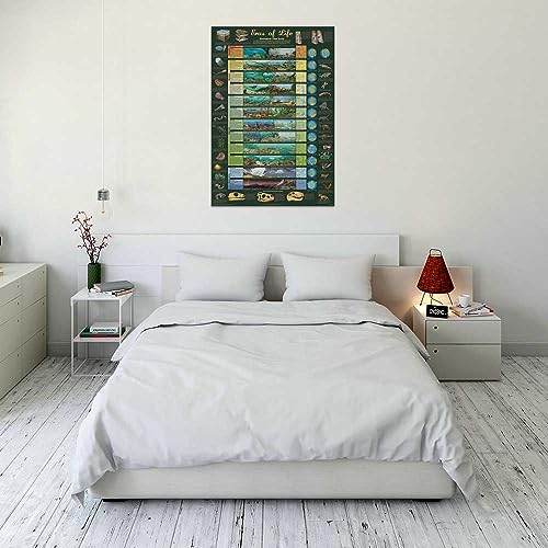 Eras of Life Poster 24x36 Illustrated Geological Chart NEW EDITION! Art Poster Print, 24x36