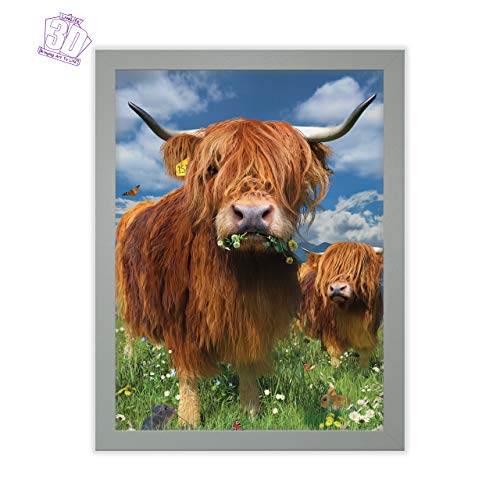 3D LiveLife Lenticular Wall Art Prints - Highland Cattle from Deluxebase. Unframed 3D Cow Poster. Perfect wall decor. Original artwork licensed from renowned artist, David Penfound
