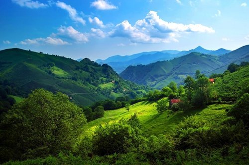 F.Mints Green Mountain Valley - Art Print Poster,Wall Decor,Home Decor(36x24inches)