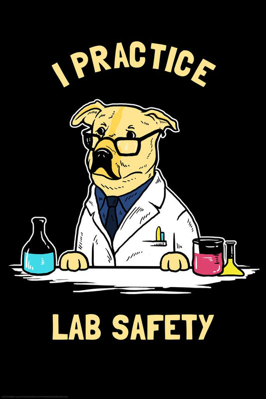 I Practice Lab Safety Labrador Dog Funny Parody LCT Creative Cool Wall Decor Art Print Poster 12x18