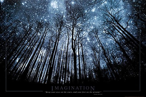 buyartforless Imagination Keep Your Eyes on The Stars and Your Feet on The Ground Art Print Poster