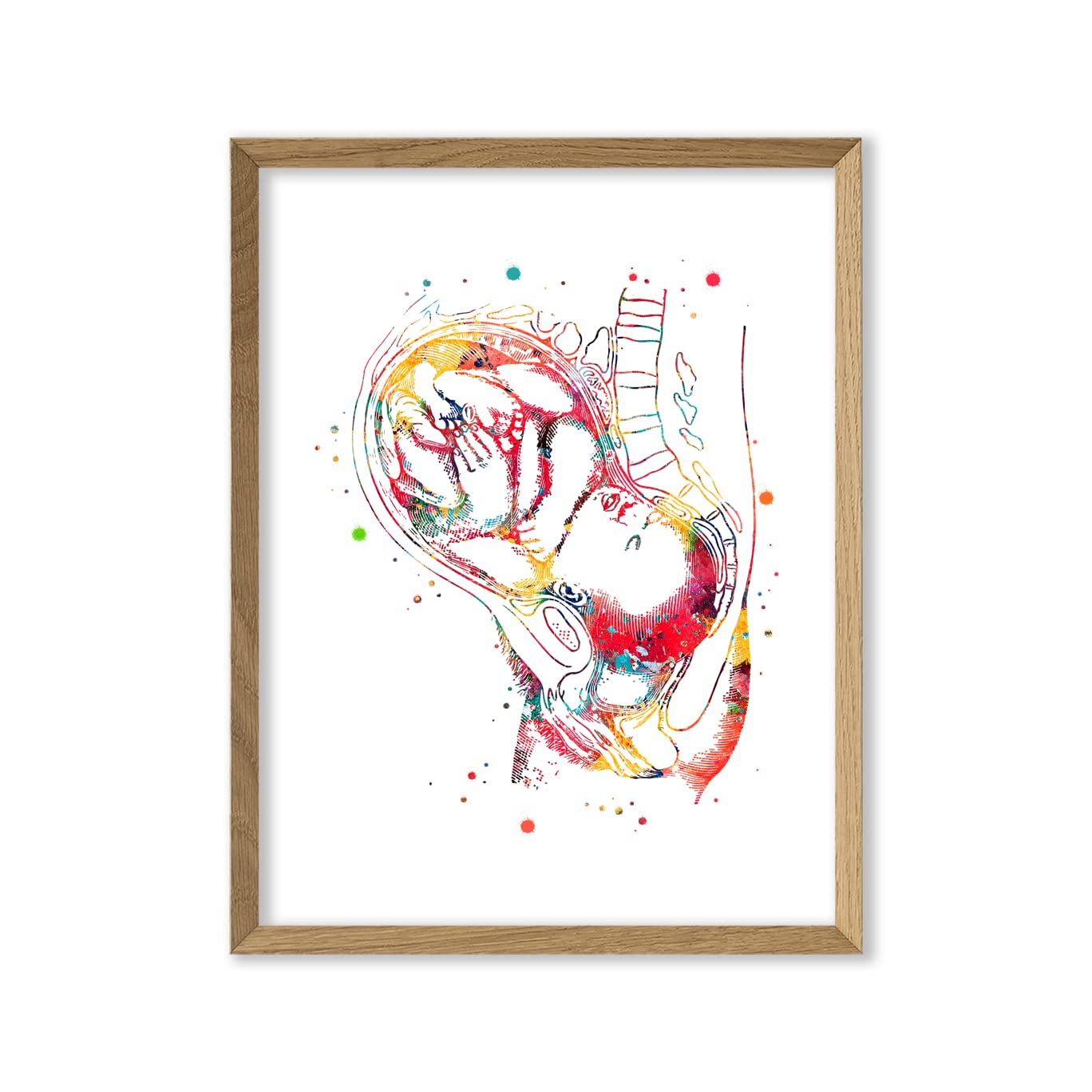 Baby In Womb Watercolor Art Print Maternity Breastfeeding Pregnancy Baby and Mom Pregnant Woman Gynecology Poster Medical Doctor Office Clinic Wall Home Decor Poster Gift 8x10 inc. Unframed Print