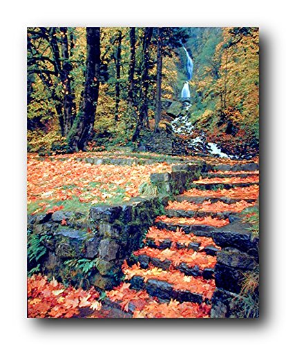 Waterfall And Fallen Autumn Leaves On Steps Scenery Nature Picture Wall Decor Art Print Poster (16x20)