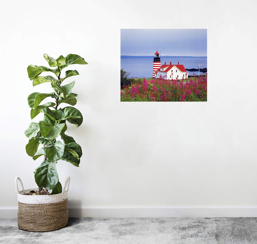 Maine West Quoddy Head Lighthouse Seascape Scenery Nature Wall Decor Picture Art Print Poster (16x20)