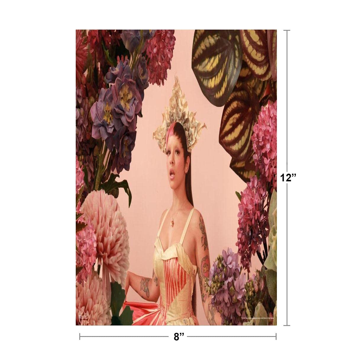 Melanie Martinez Poster Flower Crown Photo MM3 Crybaby Detention K12 Album Art Music Songs Merch Merchandise Soap Pacify Her Dollhouse Aesthetic Thick Paper Sign Print Picture 8x12