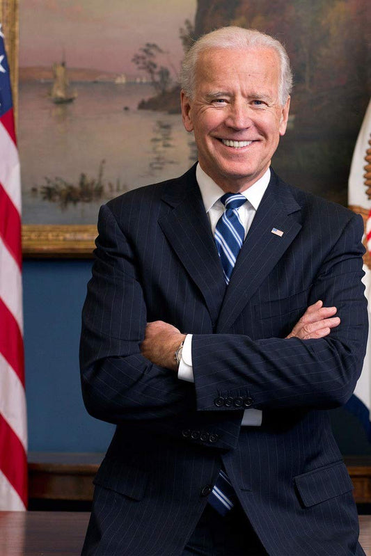 Joe Biden Official Portrait President Presidential Photo Picture Cool Wall Decor Art Print Poster 12x18