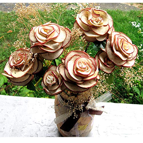 Apple Rose Bouquet Dried Apple Petals 1 Full Bloom Single Rose