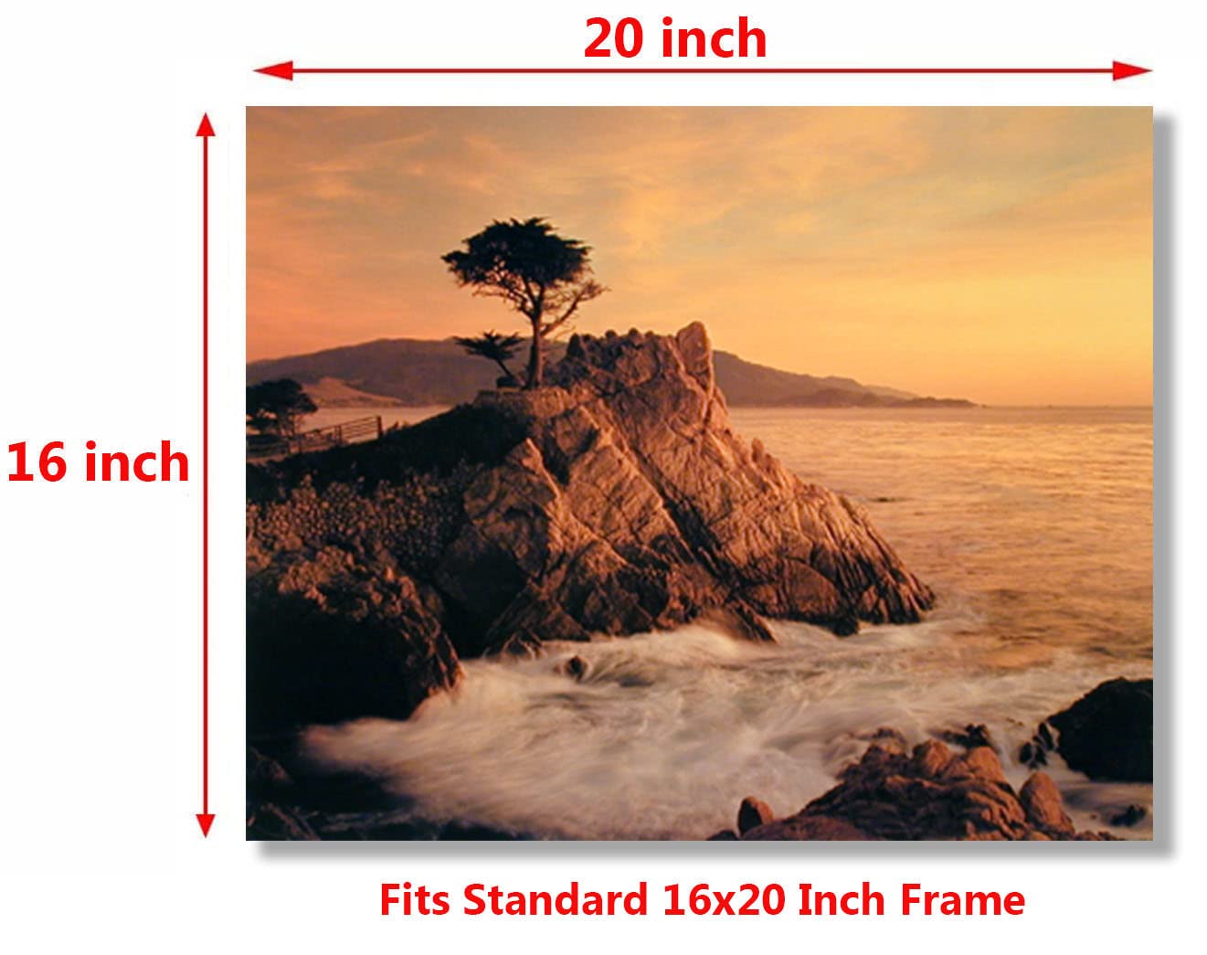Ocean Scenery Picture Lone Cypress Tree Pebble Beach Wall Decor Art Print Poster (16x20)