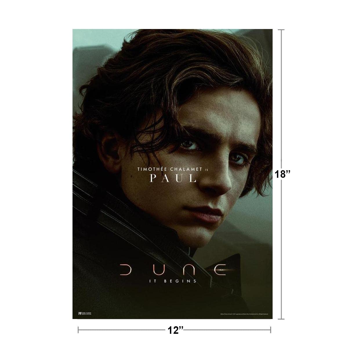 Dune Poster Timothee Chalamet Paul Atreides Photo Image Official Merchandise 2021 Movie Merch Denis Villeneuve Film Frank Herbert Book Series It Begins Cool Wall Decor Art Print Poster 12x18