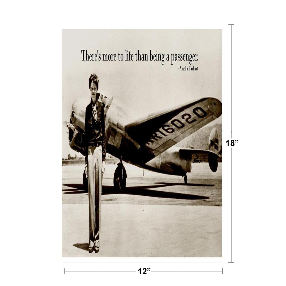 Theres More To Life Than Being A Passenger Amelia Earhart Famous Female Pilot Motivational Inspirational Quote Teamwork Inspire Quotation Gratitude Positivity Cool Wall Decor Art Print Poster 12x18