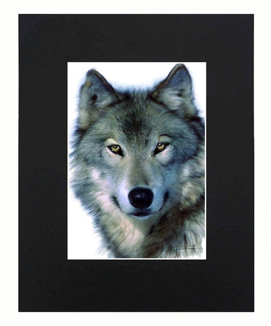 XQArtStudio Gray Wolf Art Print Artworks Picture Photograph Poster Gift Wall Decor Display Size with Matted 8 inx10 in, Multicolor