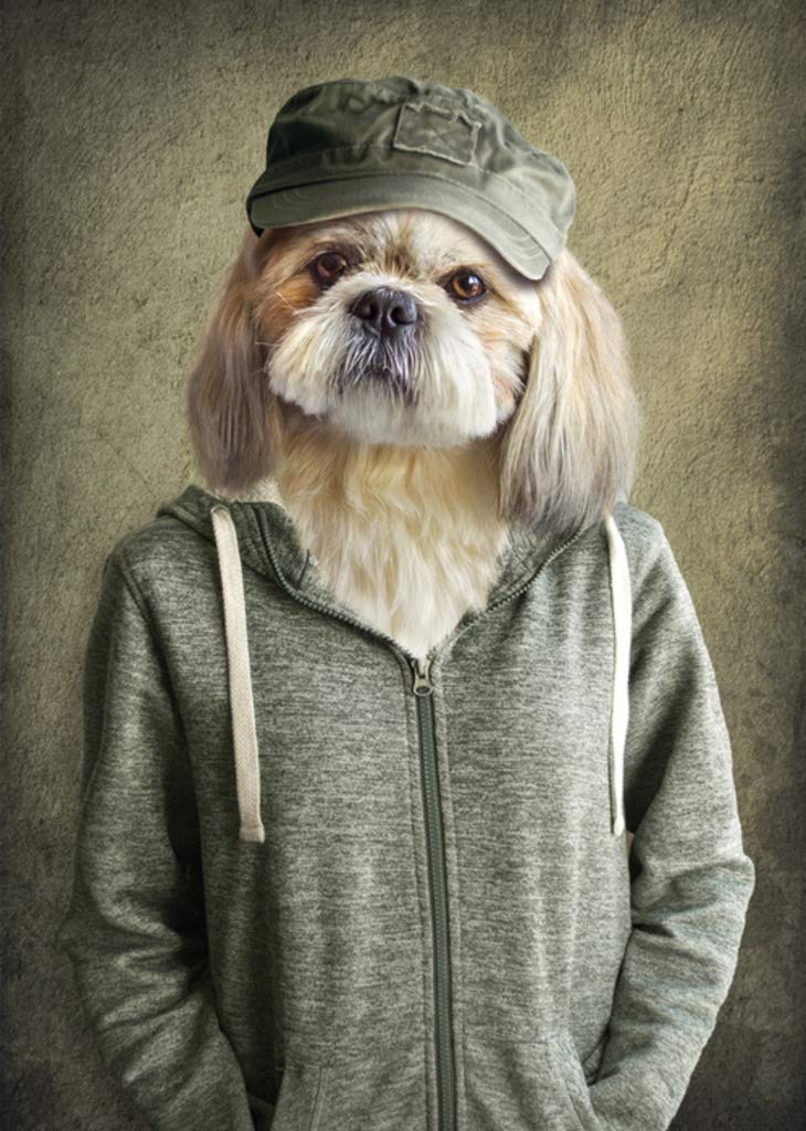 Hipster Shih Tzu Dog Head Wearing Human Clothes Funny Parody Animal Face Portrait Art Photo Cool Wall Decor Art Print Poster 12x18