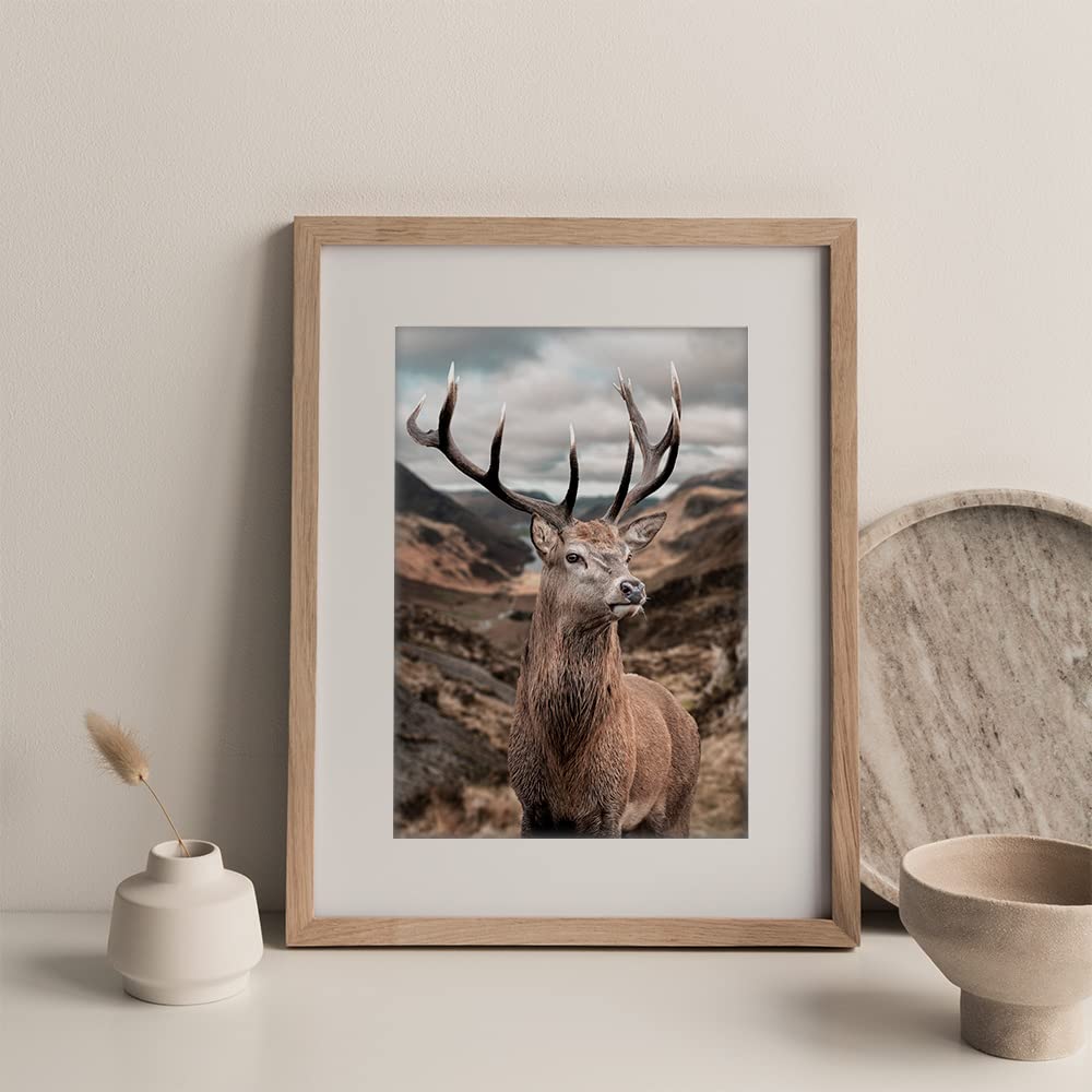 Canssape Nature Wall Art Prints Set of 6 Mountain Wall Poster Prints 8"x10" Aesthetic Poster for Living Room Decor Landscape Posters Wall Decor (Unframed)(Deer)