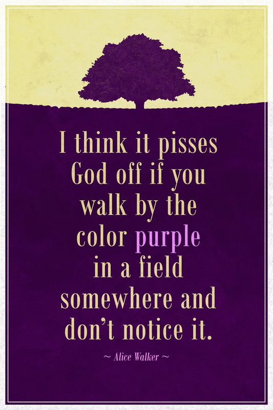 Alice Walker The Color Purple Quotation Cool Wall Decor Art Print Poster 12x18