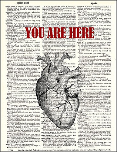 Anatomical Human Heart Love - You Are Here in My Heart - Printed on Upcycled Vintage Dictionary Paper - 8"x11" Anatomy Art Poster/Print
