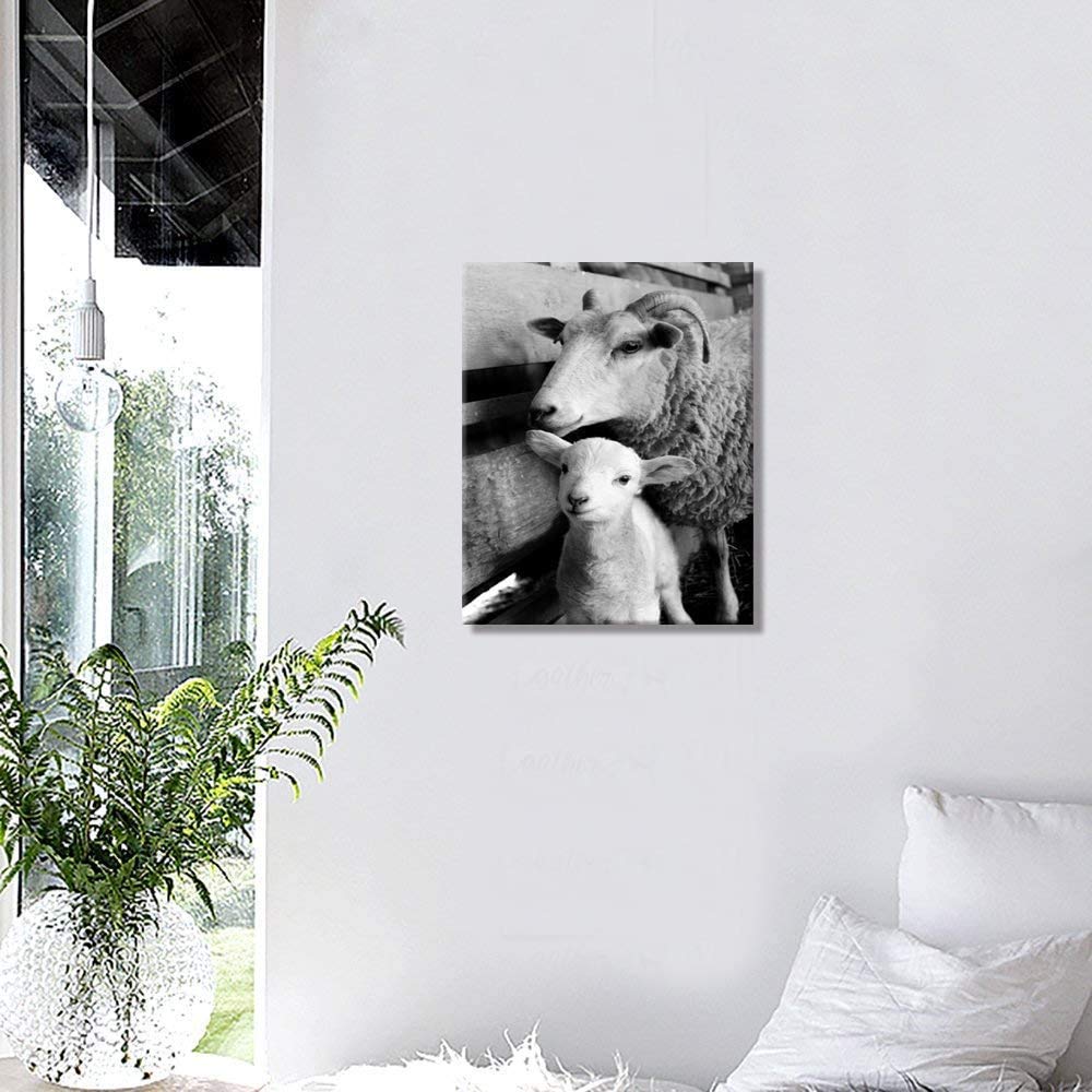 Black and White Animals Canvas Wall Decor Art Cute Little Sheep Lamb Picture Prints and Farmhouse Poster for Home Living Room Decoration IXMAH (8x10inch NO Framed)