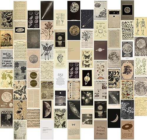 KBKBART Vintage Wall Collage Kit Aesthetic Pictures, 70pcs Retro Cottagecore Room Decor, Cute Photo Collage Posters for Room Aesthetic, Vintage Botanical Posters 4"x6" for Dorm, Bedroom, Teen, Girls
