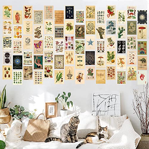 70 PCS Vintage Wall Collage Kit Aesthetic Pictures,Tarot Decorations for Bedroom Aesthetic，Posters with Animal and Plant Illustrations for Room Aesthetics,Cute Boho Photo Wall Decor for Teen Girls