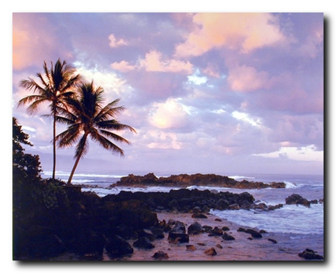 Nature Scenery Ocean Wall Decor Tropical Palm Tree Coastal Beach Sunset Art Print Poster (16x20)