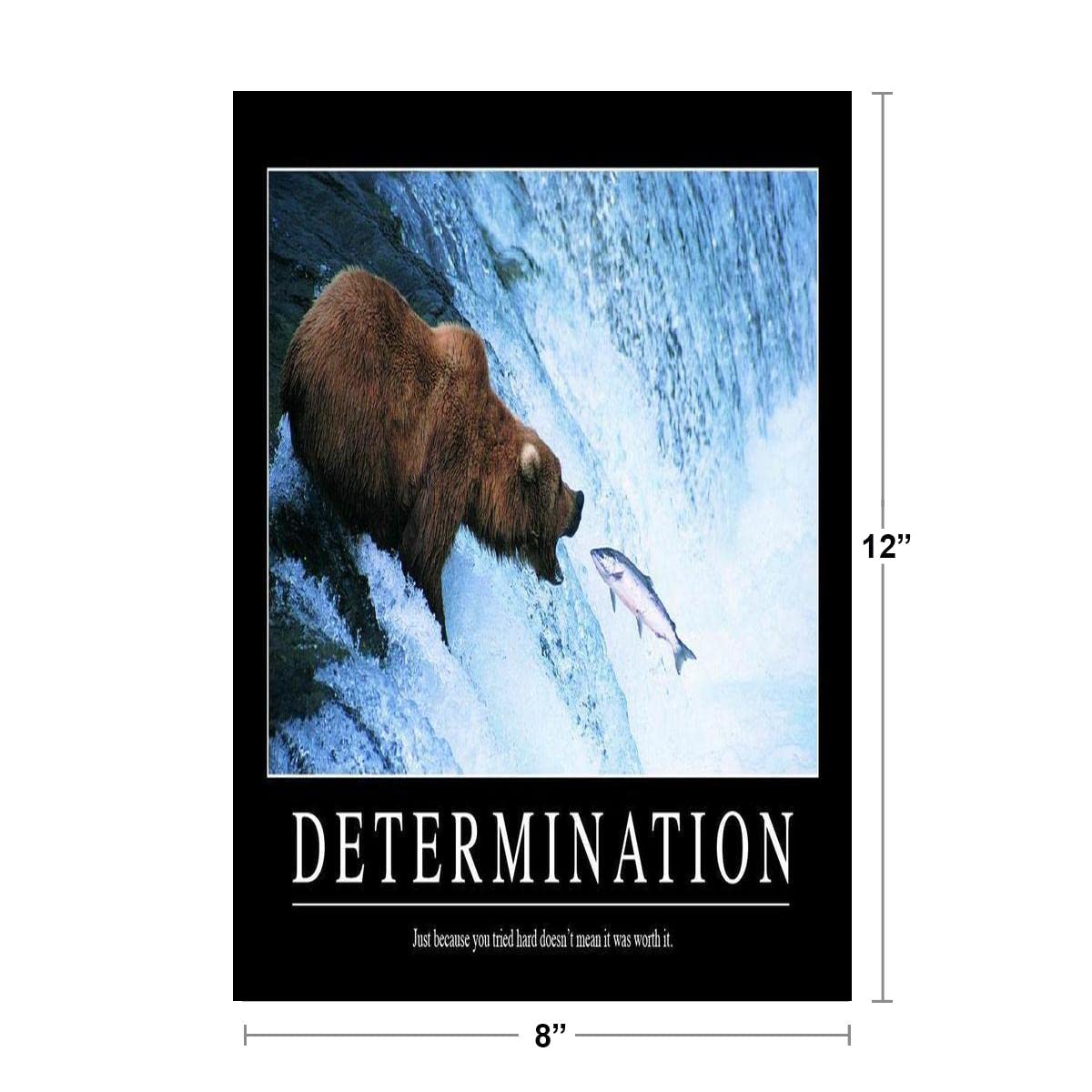 Determination Bear In Water Catching Fish Funny Demotivational Snarky Sarcastic Ironic Motivational Big Bear Poster Large Bear Picture of a Bear Posters for Wall Thick Paper Sign Print Picture 8x12