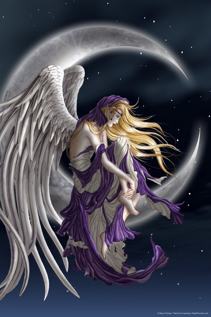 Moondreamer by Nene Thomas Cool Wall Decor Art Print Poster 12x18