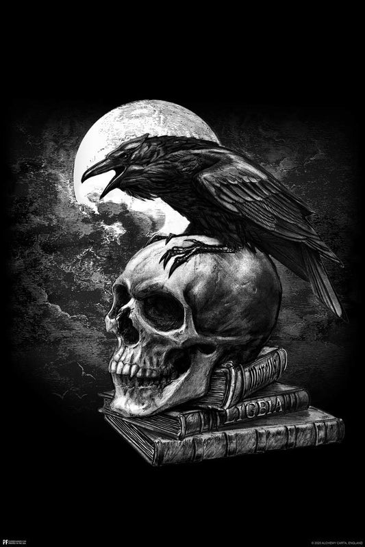 Alchemy Poes Raven Skull Gothic Edgar Allan Poe Witchy Witchcraft Goth Decorations Crow Horror Cool Wall Decor Art Print Poster 12x18