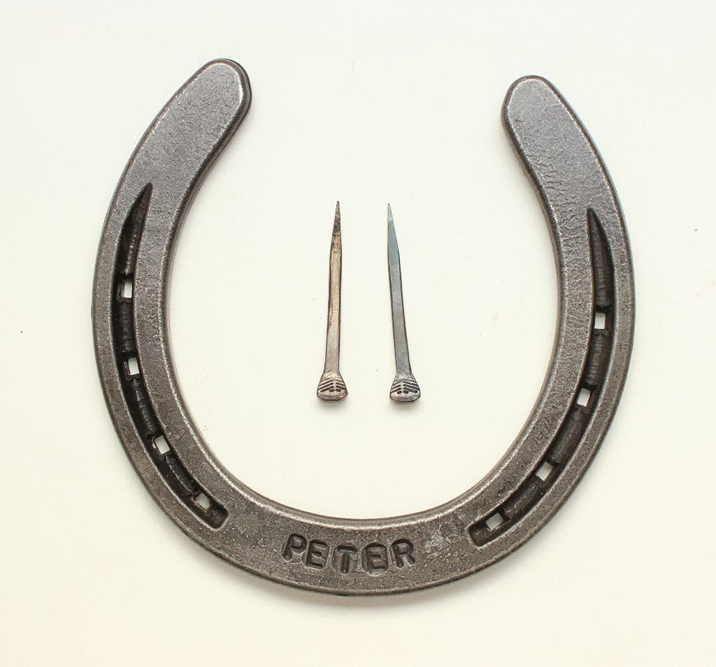 Personalized Horseshoe 6th Anniversary gift 11th Anniversary gift