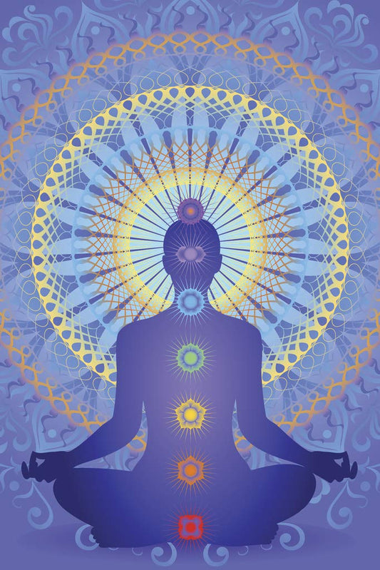 Chakra Mandala Root Muladhara Sacral Solar Plexus Heart Throat Third Eye Crown Symbols Spiritual Ritual Hinduism Artistic Buddha Lotus Cool Wall Decor Art Print Poster 12x18