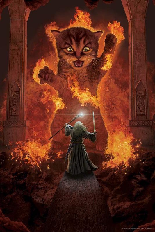 You shall not pass Wizard Monster Fight by Vincent Hie Movie Parody Fantasy Cool Wall Decor Art Print Poster 12x18