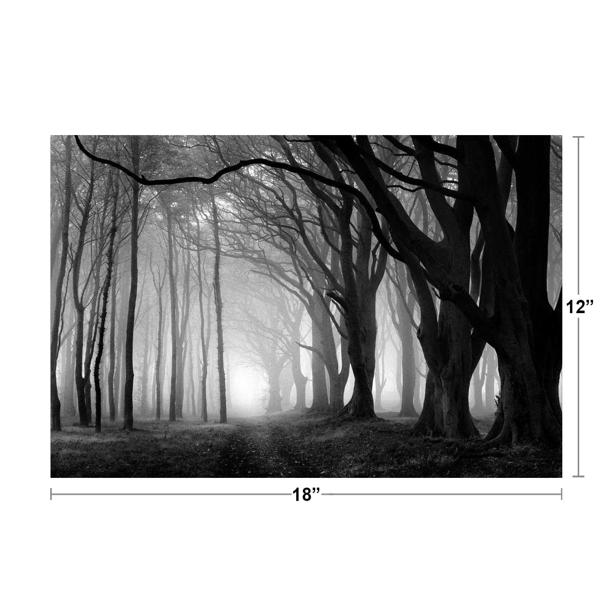 Creepy Forest Black And White Photo Photograph Spooky Scary Halloween Decorations Cool Wall Decor Art Print Poster 18x12