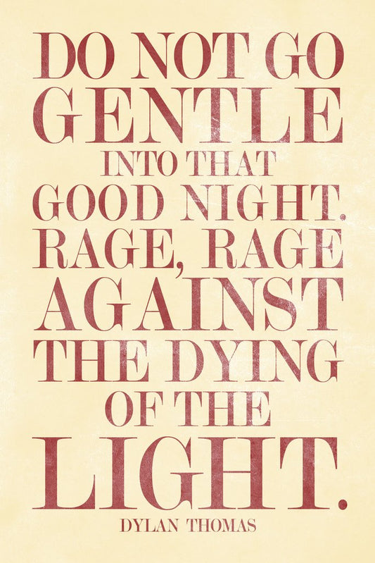 Dylan Thomas Do Not Go Gentle Into That Good Night Cool Wall Decor Art Print Poster 12x18