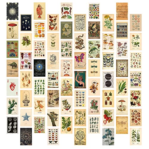 70 PCS Vintage Wall Collage Kit Aesthetic Pictures,Tarot Decorations for Bedroom Aesthetic，Posters with Animal and Plant Illustrations for Room Aesthetics,Cute Boho Photo Wall Decor for Teen Girls