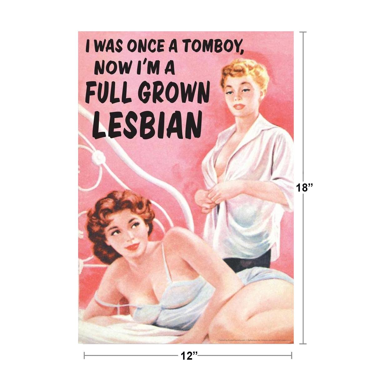 I Was Once A Tomboy Now Im A Full Grown Lesbian Humor Cool Wall Decor Art Print Poster 12x18