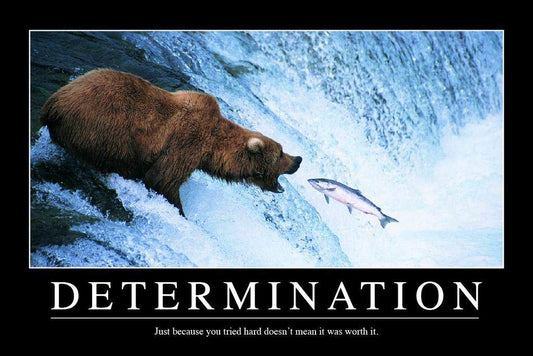 Determination Bear In Water Catching Fish Funny Demotivational Snarky Sarcastic Ironic Motivational Big Bear Poster Large Bear Picture of a Bear Posters for Wall Thick Paper Sign Print Picture 8x12