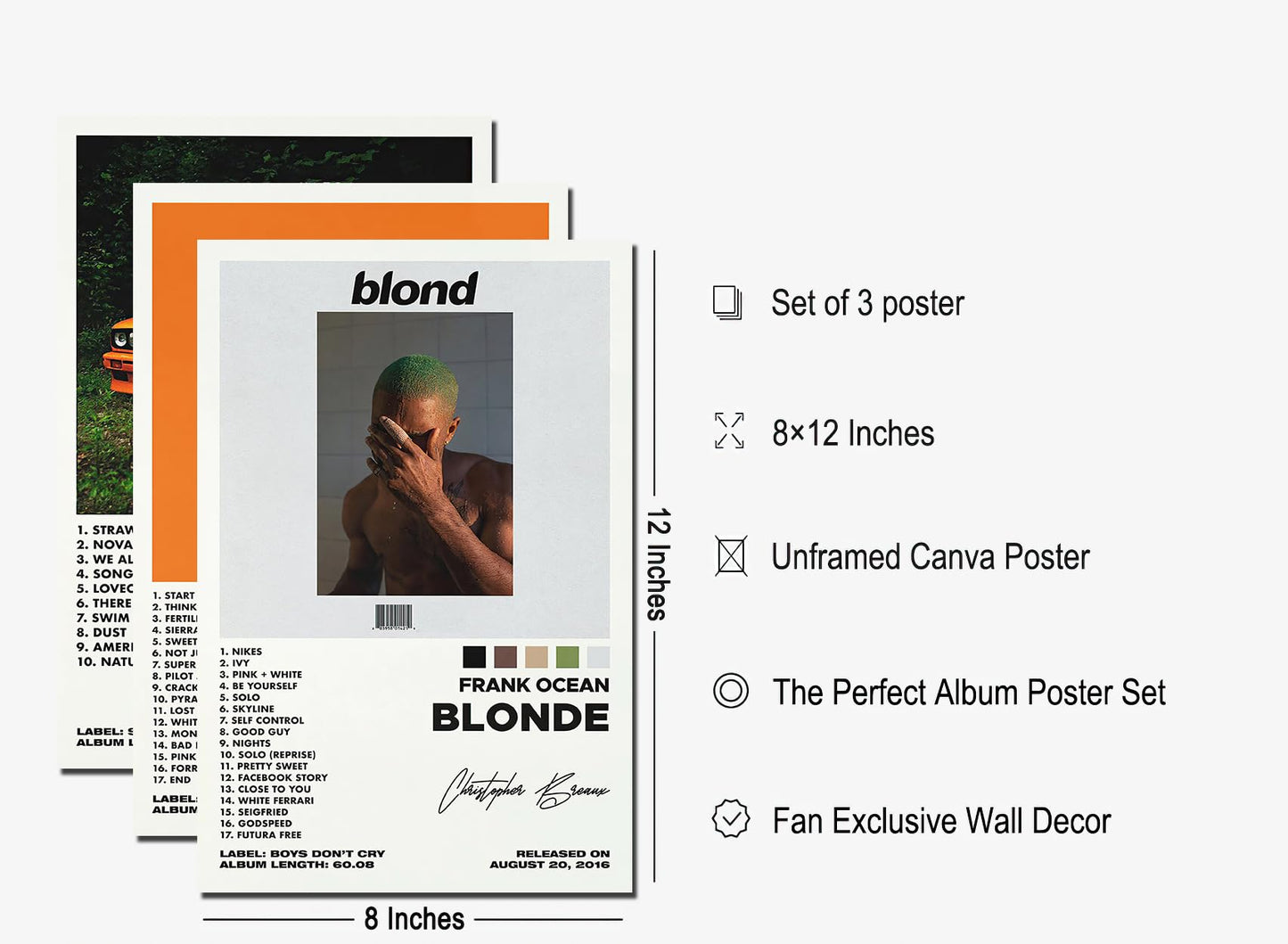 Bkioqoh A Set of 3 canvas posters,Frank Poster Ocean Blonde Poster Channel Orange Poster, Album Aesthetics 3 Piece Set,8x12IN Canvas Prints Unframed Set of 3