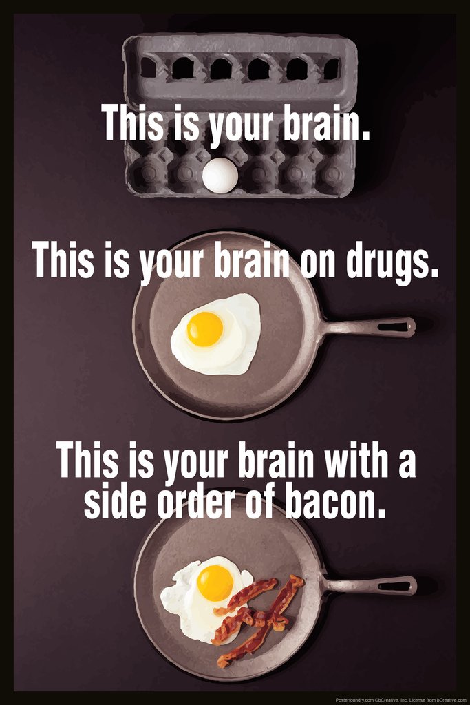 This is Your Brain On Drugs With A Side of Bacon Funny Cool Wall Decor Art Print Poster 12x18