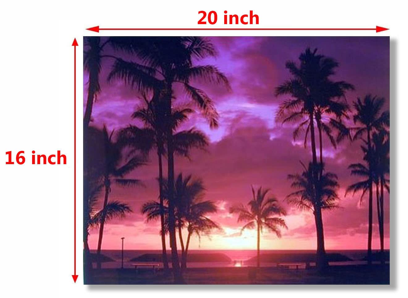 Purple Tropical Sunset Landscape Scenery Wall Decor Art Print Poster (16x20)