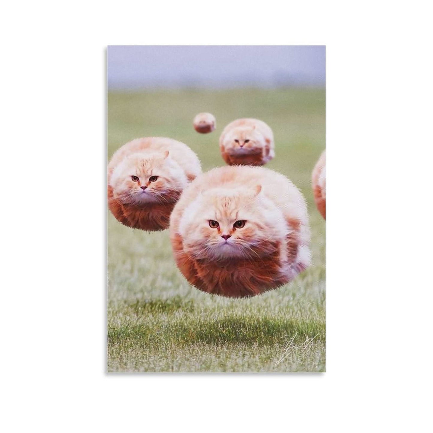 Ball Cat Poster, Funny Chubby Cat Art, Posters for Room Aesthetic,Cool Cat Wall Decor Poster & Prints Cute Home Wall Decor, College Dorm, Apartment, Girly, Kids Room Poster, 12x18 Inch (Unframed)