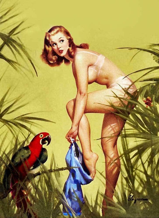 Vintage GIL ELVGREN Pinup Girl XL CANVAS PRINT Poster Macaw & Girl Paintings Oil Painting Original Drawing Photo Wall Art (8x12inch NO Framed)
